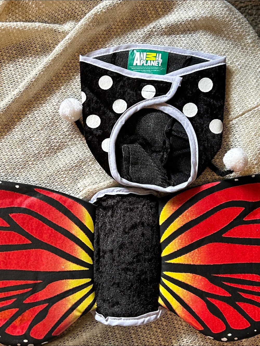Animal Planet Black Polka Dot & Red Butterfly Dog Costume